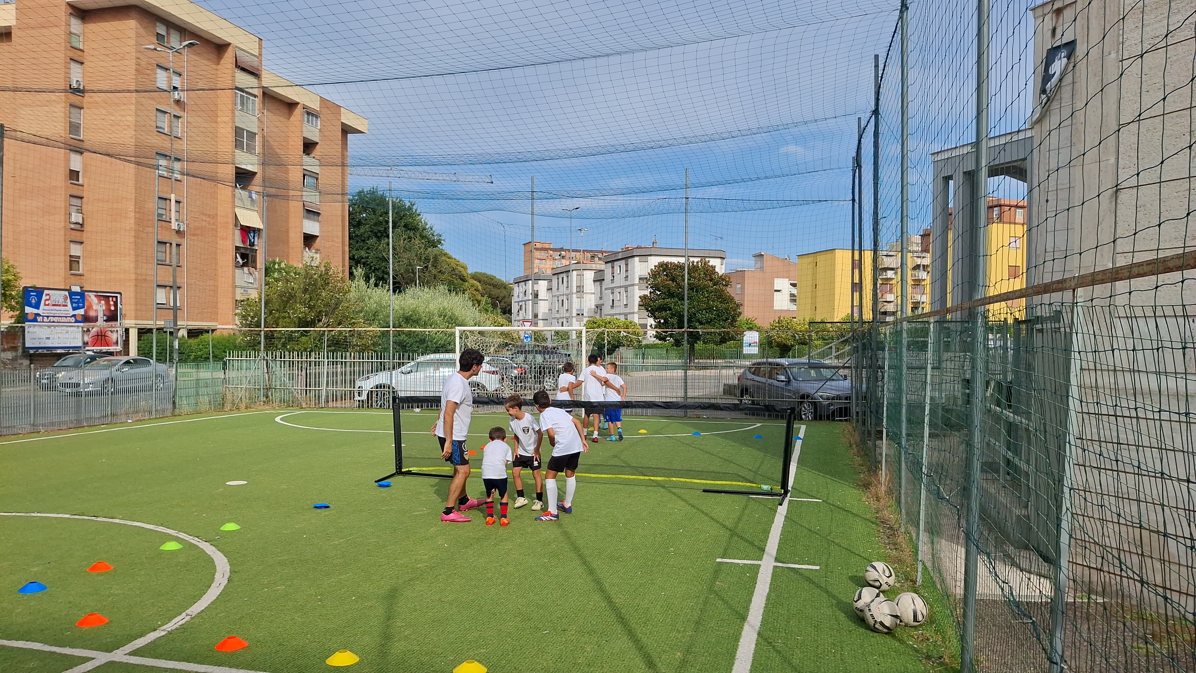 Campo - dettaglio 5